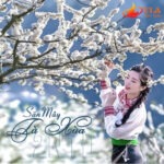 Tour Mộc Châu - Tà Xùa 2 Ngày 1 Đêm Cùng TLA - Ảnh 3