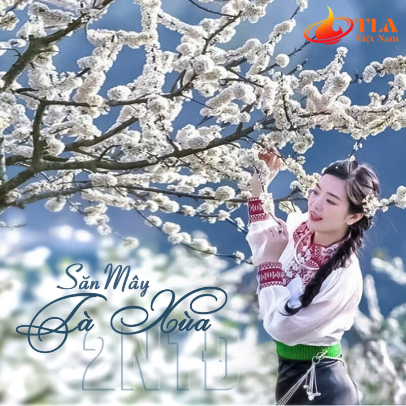 Tour Mộc Châu - Tà Xùa 2 Ngày 1 Đêm Cùng TLA - Ảnh 3