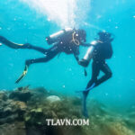 2 Ngày 1 Đêm Nghỉ Dưỡng Tại FLC Quy Nhơn Nhơn Lý – Chỉ 1.500.000đ Tại TLA Việt Nam - Ảnh 4