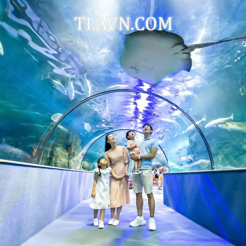 VinKE Và Aquarium Times City - Trải Nghiệm Thuỷ Cung Và Khu Vui Chơi Hot Nhất Hà Nội - Ảnh 3