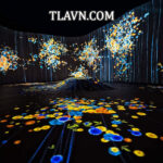 Vườn Ánh Sáng Lumiere Đà Lạt - Deal Hot Chỉ Có Tại TLA Việt Nam - Ảnh 3