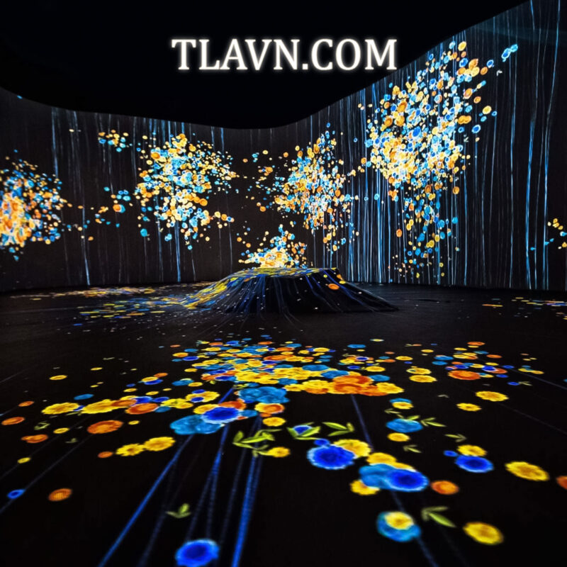 Vườn Ánh Sáng Lumiere Đà Lạt - Deal Hot Chỉ Có Tại TLA Việt Nam - Ảnh 3