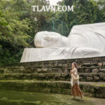 TTC World Tà Cú  - Vé Tham Quan, Vé Cáp Treo Và Combo Siêu Hot Tại TLA - Ảnh 3