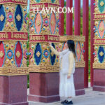 Samten Hills Dalat - Gói Trải Nghiệm Trọn Ngày An Yên - Ảnh 3