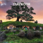 Novadreams Lâm Đồng - Vườn Châu Âu Euro Garden - Ảnh 3