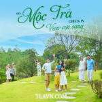 Mộc Trà Villa – Biệt Thự Nghỉ Dưỡng Đẳng Cấp tại Sân Golf Tam Đảo | TLA Việt Nam - Ảnh 3