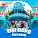 Khu Du Lịch Quốc Tế Đồi Rồng Hải Phòng – Trải Nghiệm Hè Sôi Động Với Deal Siêu Hot Từ TLA Việt Nam