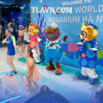 Lotte World Aquarium Hà Nội – Vé Tham Quan  Thủy Cung Trong Nhà Lớn Nhất Thủ Đô. - Ảnh 3