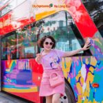 Vé xe bus 2 tầng Hạ Long – Trải nghiệm toàn cảnh thành phố biển - Ảnh 2