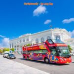 Vé xe bus 2 tầng Hạ Long – Trải nghiệm toàn cảnh thành phố biển - Ảnh 3