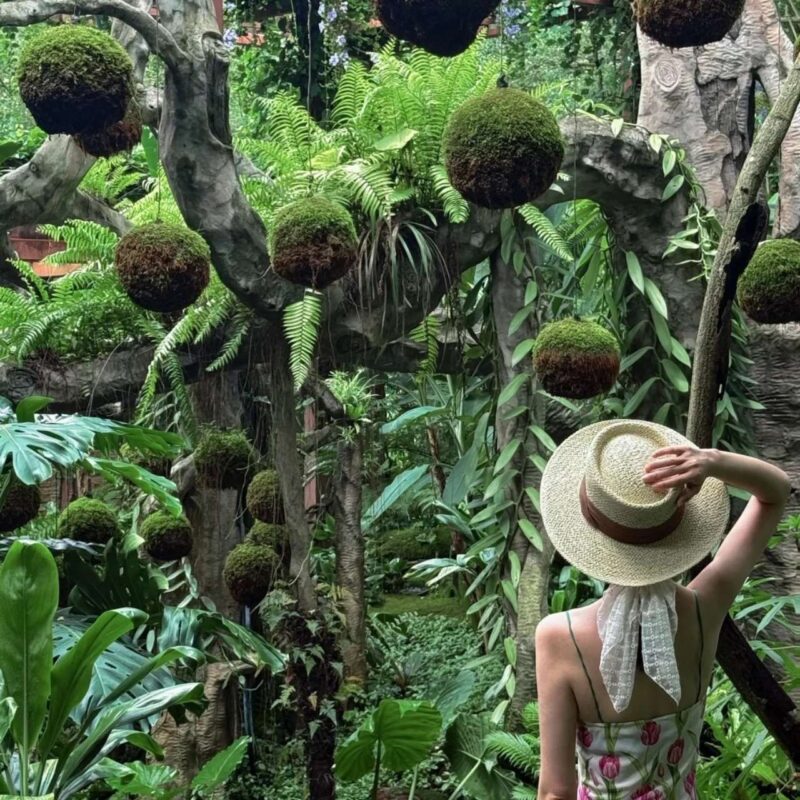 Tour Trung Quốc: Nam Ninh- Thanh Tú Sơn - Thái Bình Cổ Trấn 3N2Đ (Ô tô). Thứ 6 hàng tuần - Ảnh 6